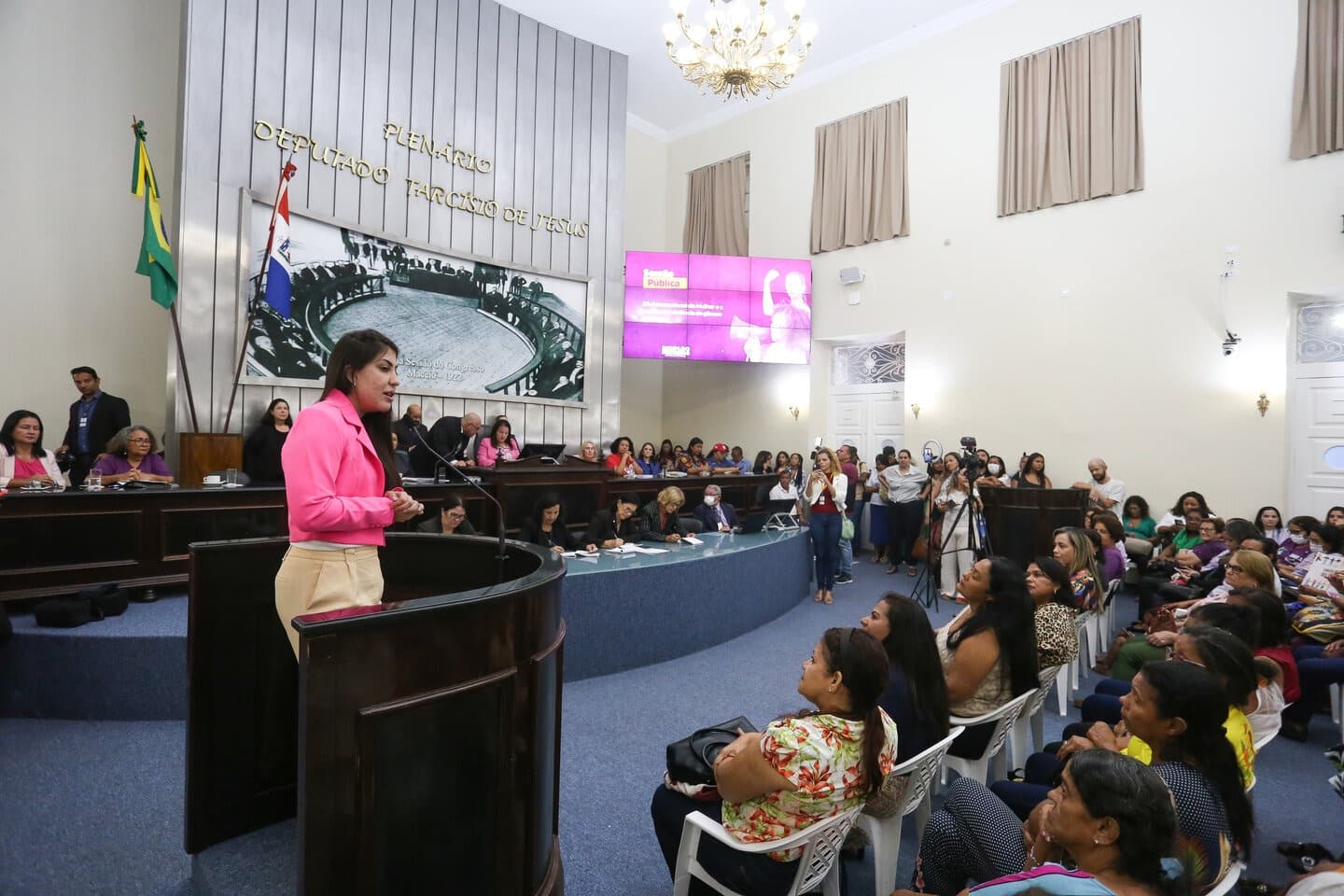 Gabi Gonçalves e Deputadas da Bancada Feminina debatem violência de gênero em Sessão Pública